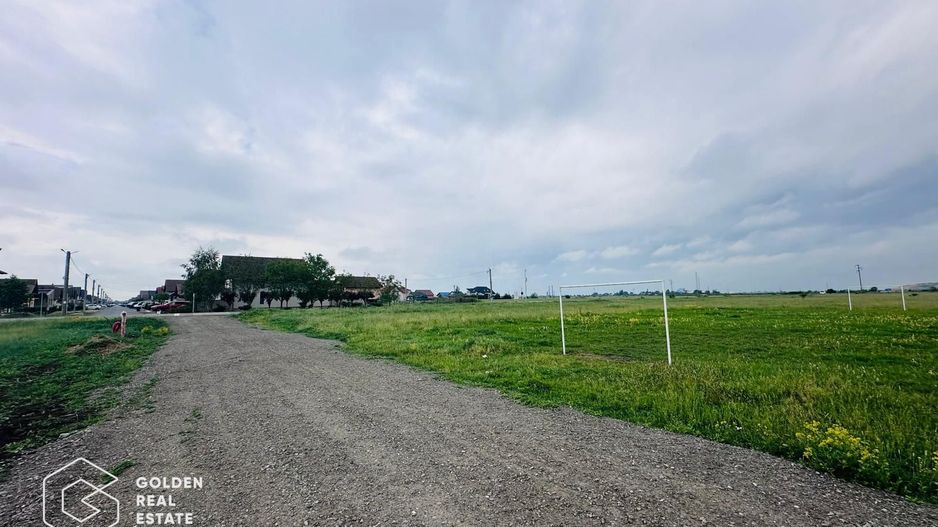 Terenuri cu utilitati, intrare Livada - Poză 3