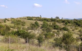 Teren extravilan parcelat Valea Budacului - Poză 1