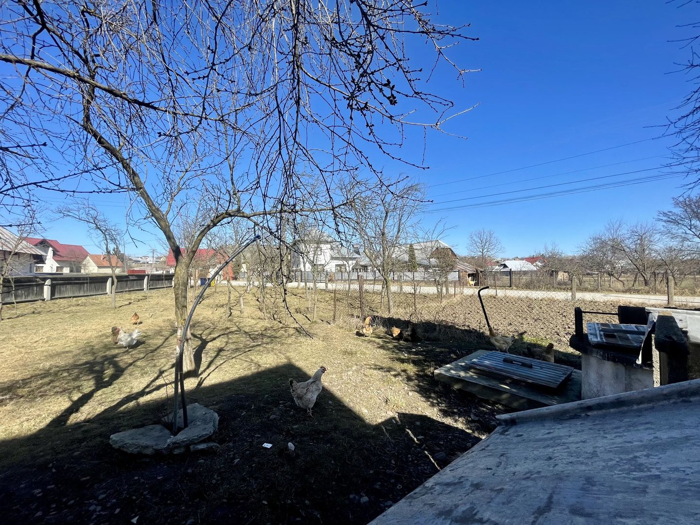 CASA RENOVATA + TEREN 3100 MP | CURTE SI GRADINA | FRATAUTII NOI - Poză 22