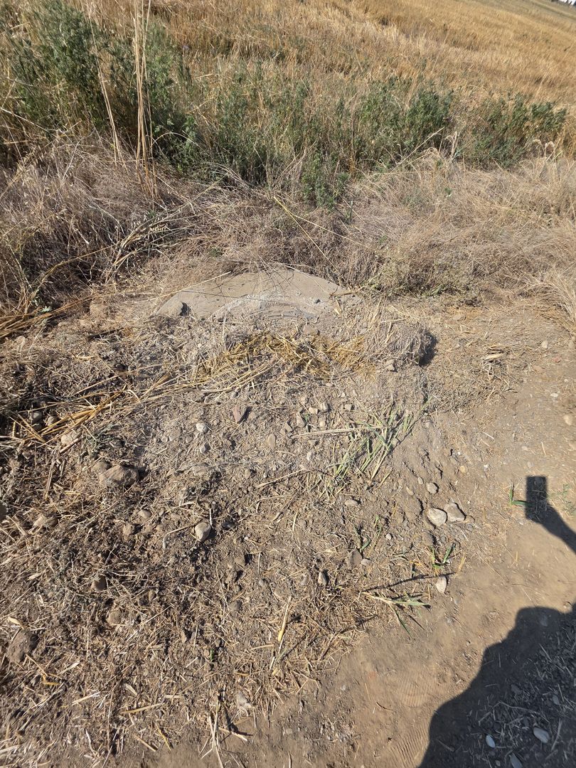 Teren intravilan 5.450 mp – Strada Castanilor, Ciorogârla – zonă rezidențială în - Poză 3