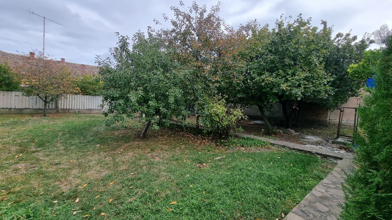 Casă cu 3 camere, anexă și teren de 901 mp – Pecica, zonă centrală - Poză 11