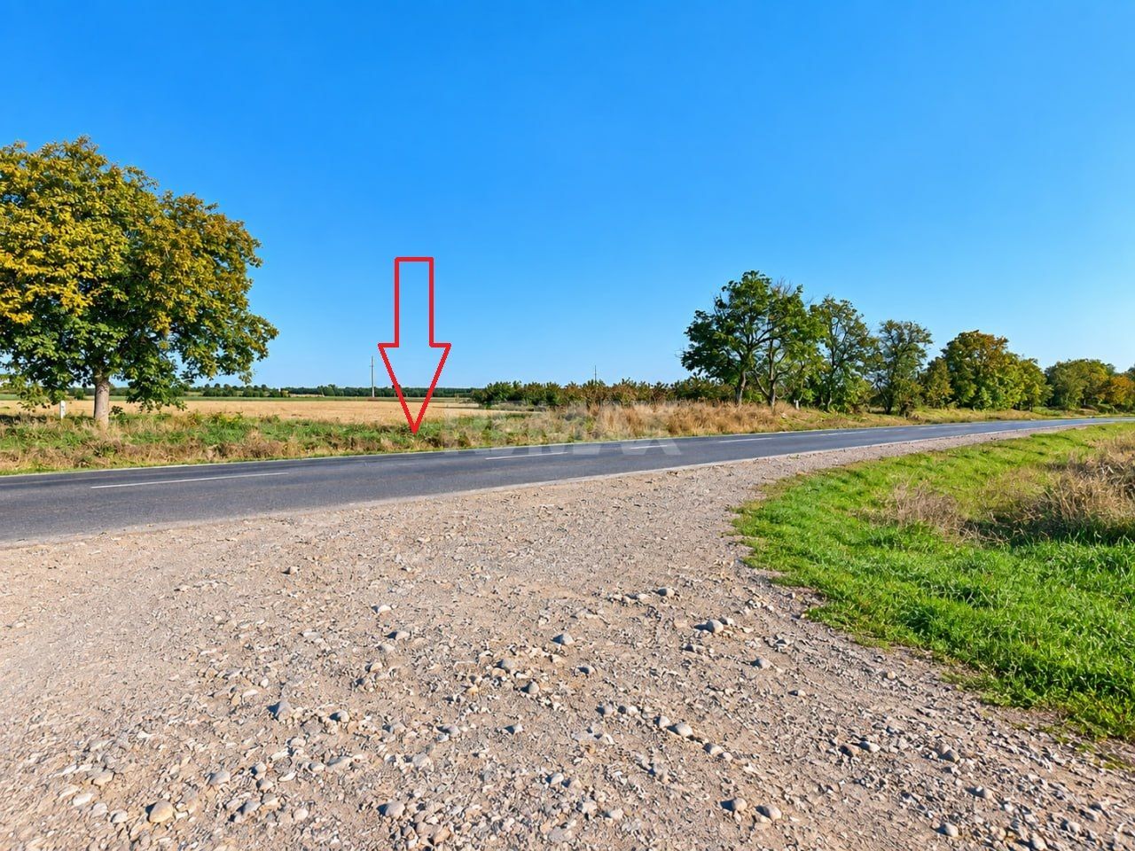4,85 HA CU DESCHIDERE DE 300 M LA TRASEU | CRIULENI – SLOBOZIA-DUȘCA - Poză 3