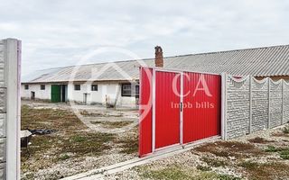 Hala de inchiriat in zona Tarian, Bihor - Poză 4