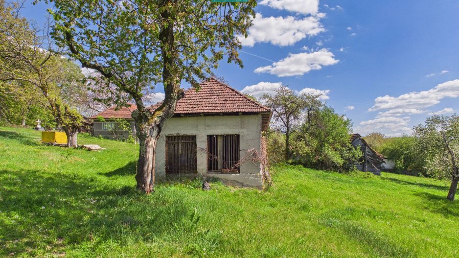 Proprietate rară cu 24.270 mp, în Măgulicea, Arad! - Poză 21