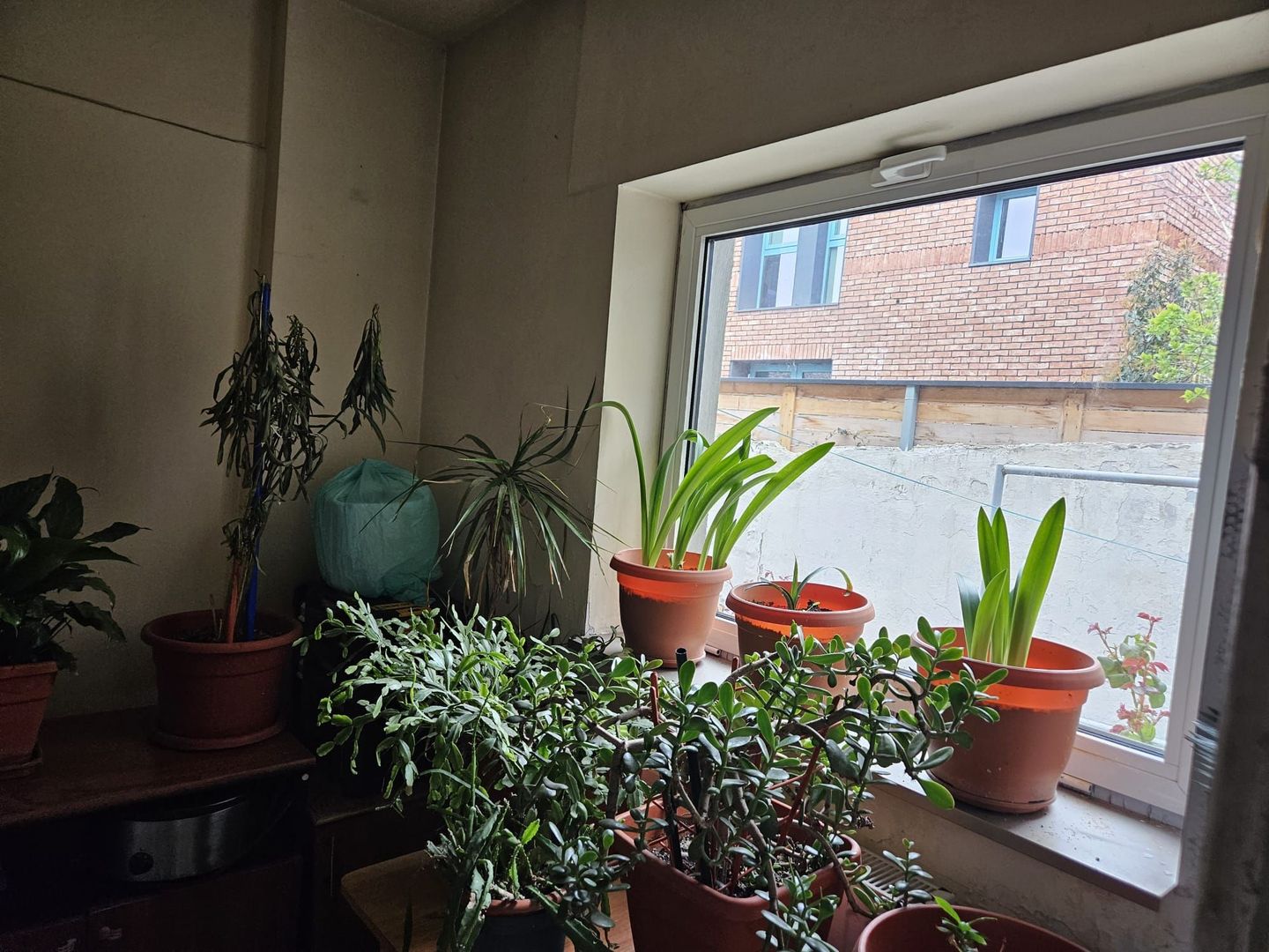 Vanzare Casa 4 camere | Zona Decebal Strada Popa Nan | Universitatea Hyperion - Poză 24