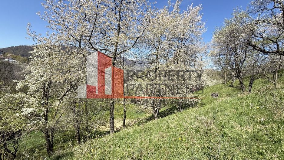 Teren 2500 mp Sohodol - Poză 13