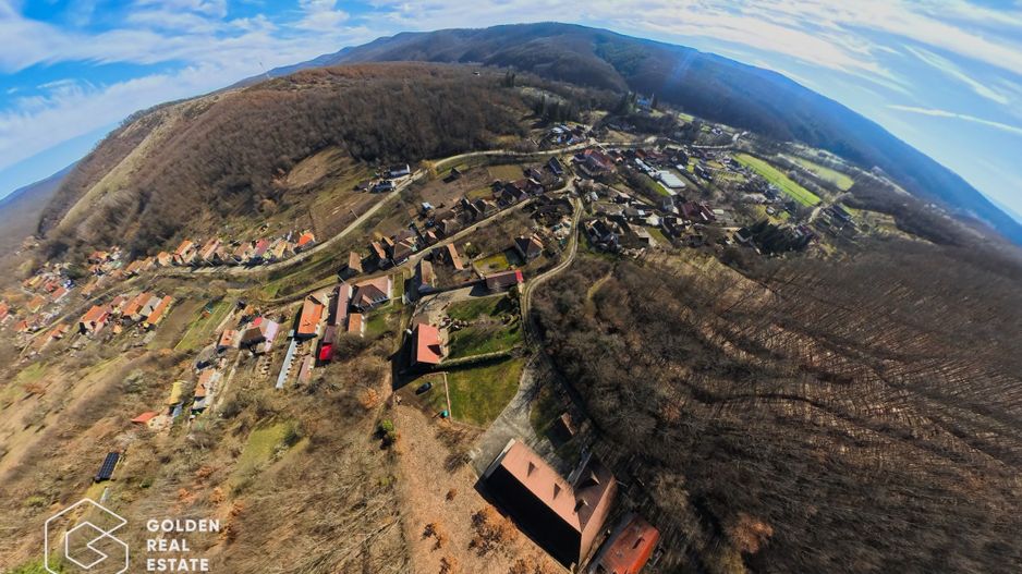 Proprietate pretabila pentru afacere, Cladova - Poză 39