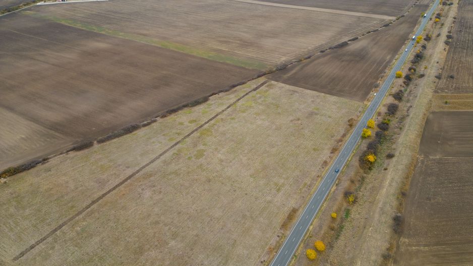 Teren 22.500 mp–Pecica, jud. Arad,Posibilitate PUZ - Poză 10