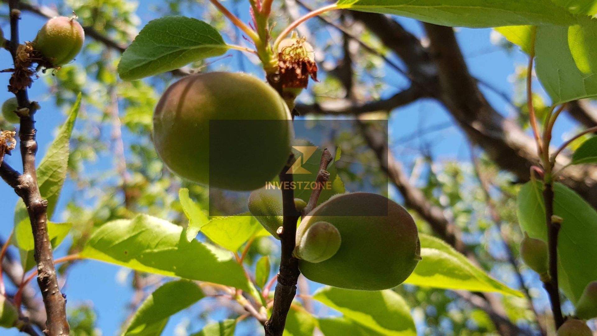 Teren cu utilități 2052 mp - Oradea - str. Făgetului - Poză 11