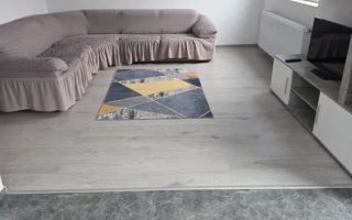 Chirie casa tip duplex, Pantelimon/Cernica - Poză 4