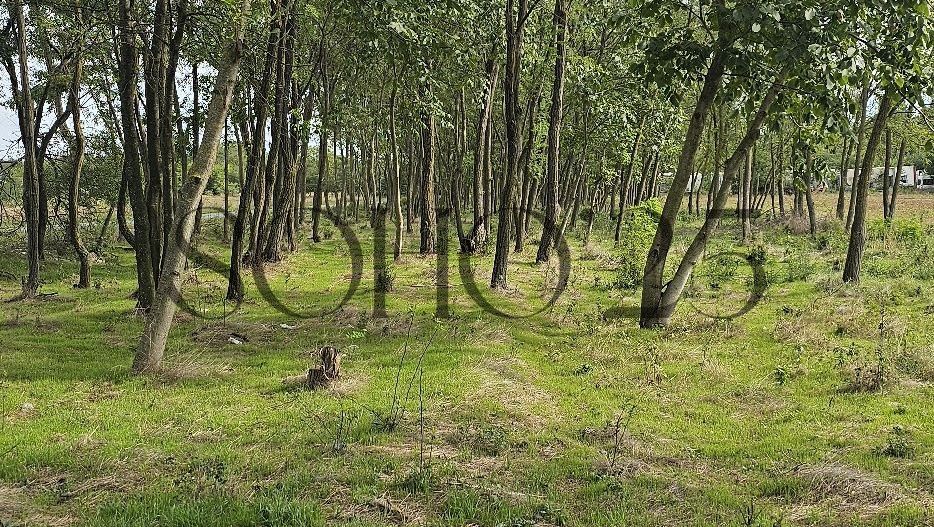 Teren intravilan construibil peisaj de vis - Poză 6