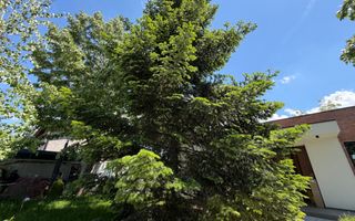 Vila cu 5 camere // * 565 mp gradina* // Tunari - Poză 107