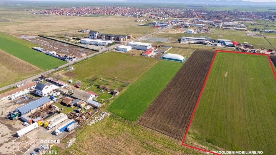 Teren extravilan, 20000 mp, Sanleani - Poză 2