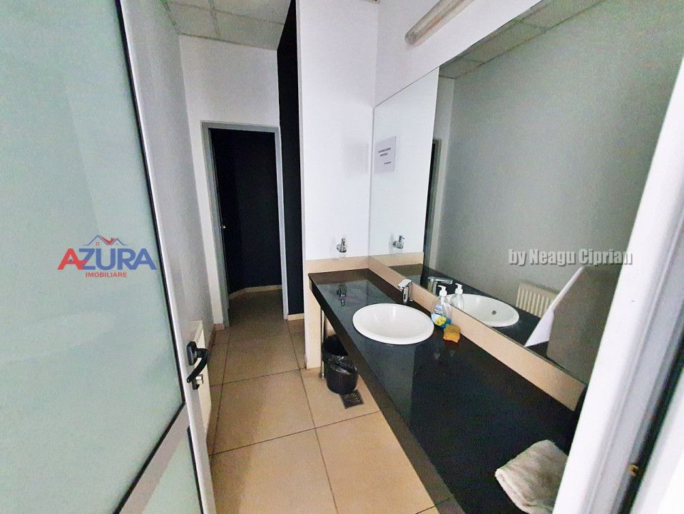 Spatiu Showroom + parcare, Stradal, DN65 Tiriac Auto Albota Pitesti - Poză 11