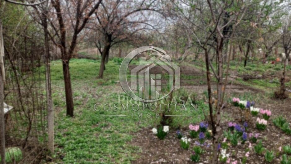 Casa zona Dorobanti teren 500mp toate utilitatile 58.000 euro - Poză 10