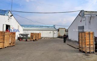 COMISION 0% - HALE Calinesti Arges - Poză 2