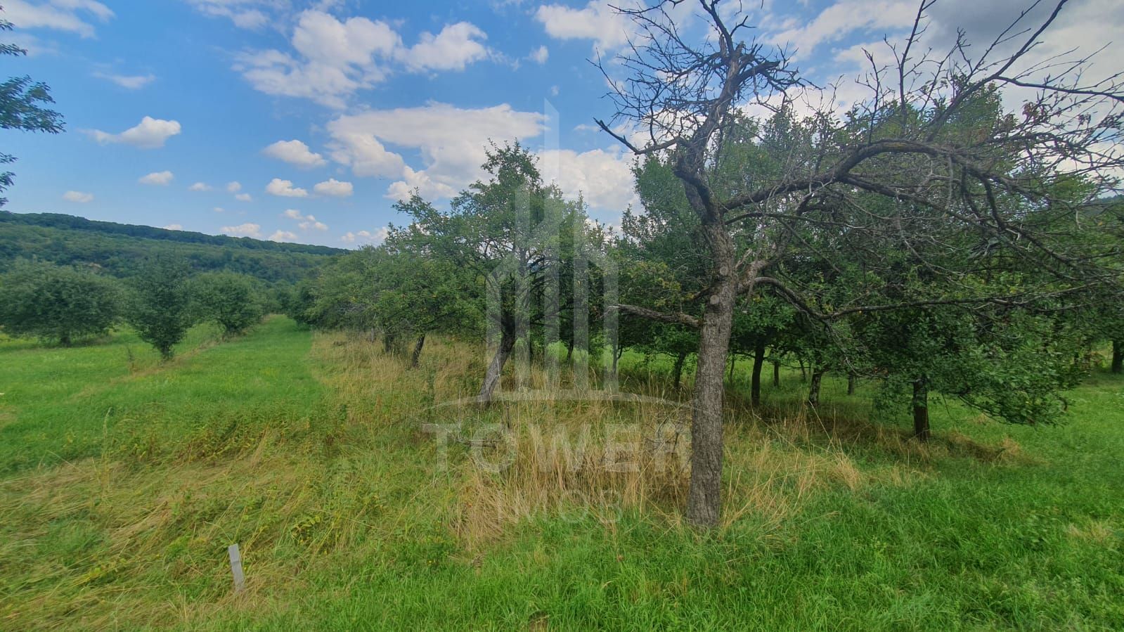 Teren de vanzare in Sibiel . - Poză 3