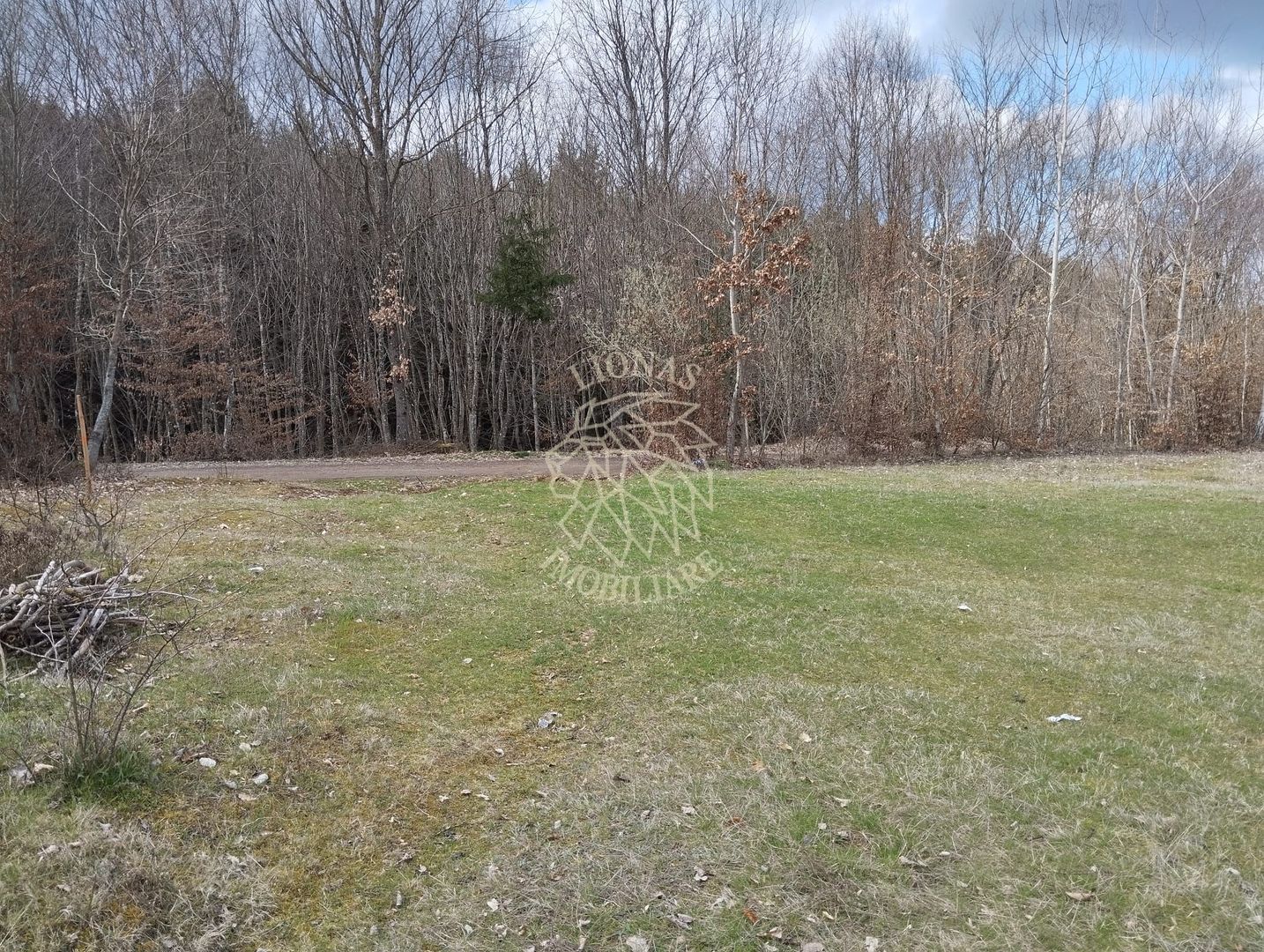 Teren 3700 mp - vedere panoramic - Zona Str. Ghinzii - Poză 2