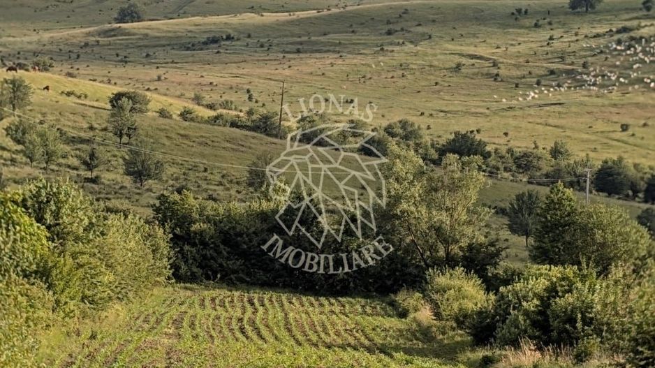 COMISION 0% Teren 3004 mp cu utilitati-cota drum-Dealul Budacului - Poză 1