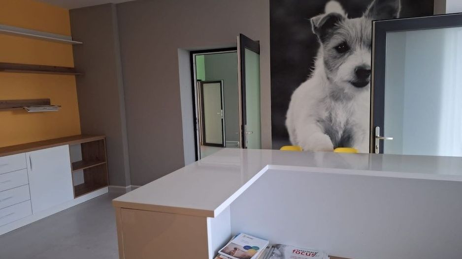 Casa de vanzare Sararie - Copou - Poză 4