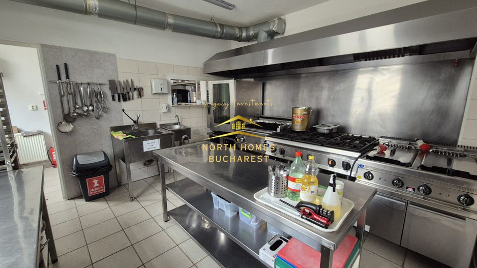 Spațiu Comercial de Vânzare în Domenii – 14 Camere, 351 mp Teren - Poză 1