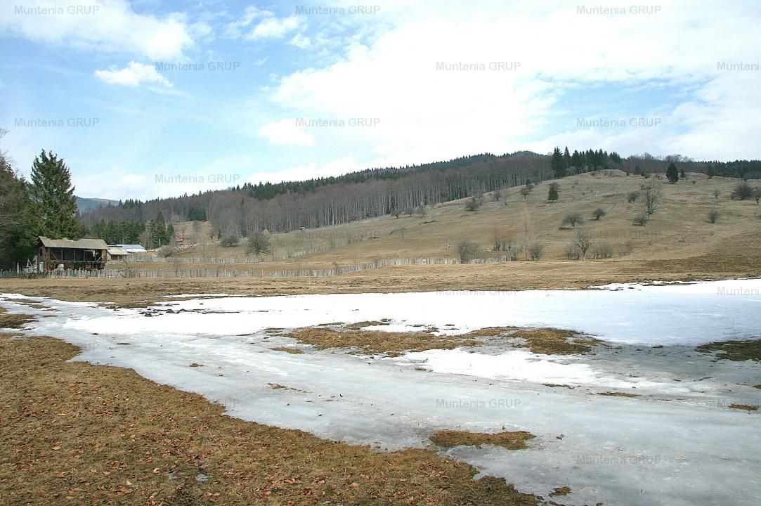 VALEA DOFTANEI - Traisteni, langa Conacul Dascalu, vanzare 2.537 mp. teren - Poză 13