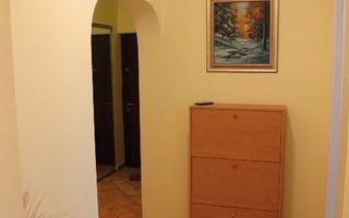 APARTAMENT LUMINOS METROU ZONA TINERETULUI - Poză 9
