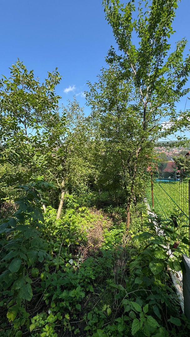 Teren cu casa demolabila - 547MP - Gruia - Poză 3