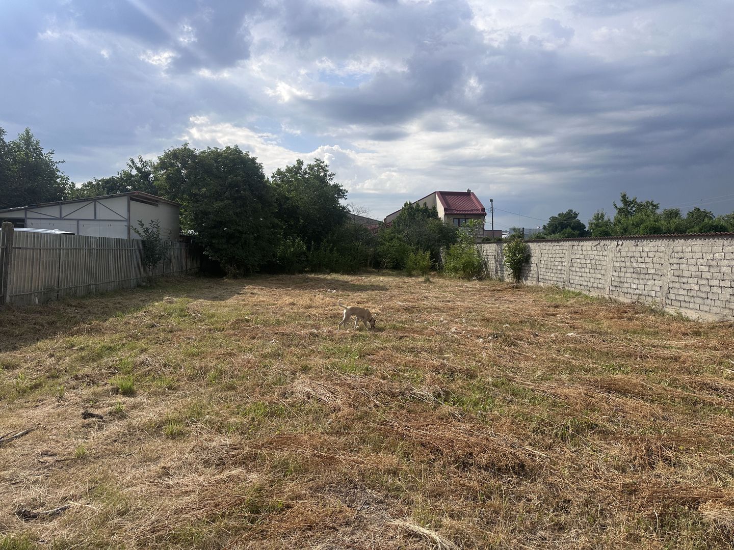 Teren intravilan de vânzare în Aninoasa, Dâmbovița! - Poză 3