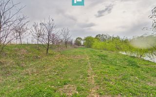 Teren 1 ha cu baltă populată – Alioș (Mașloc) - Poză 5