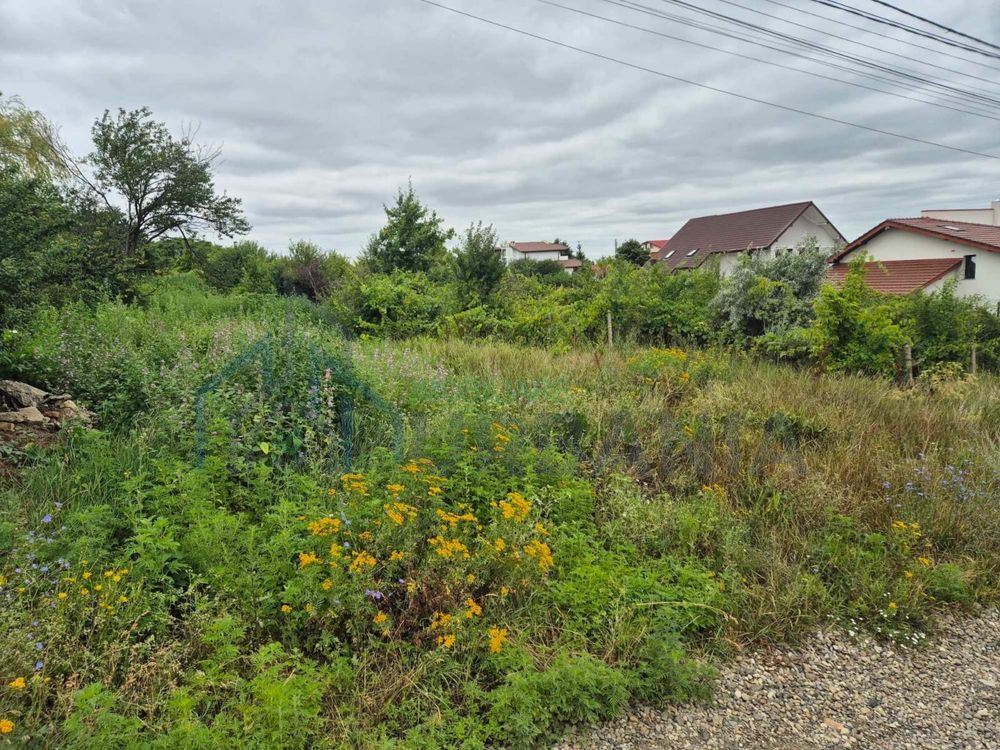 Vând Teren Vișan Bîrnova intravilan - Poză 2