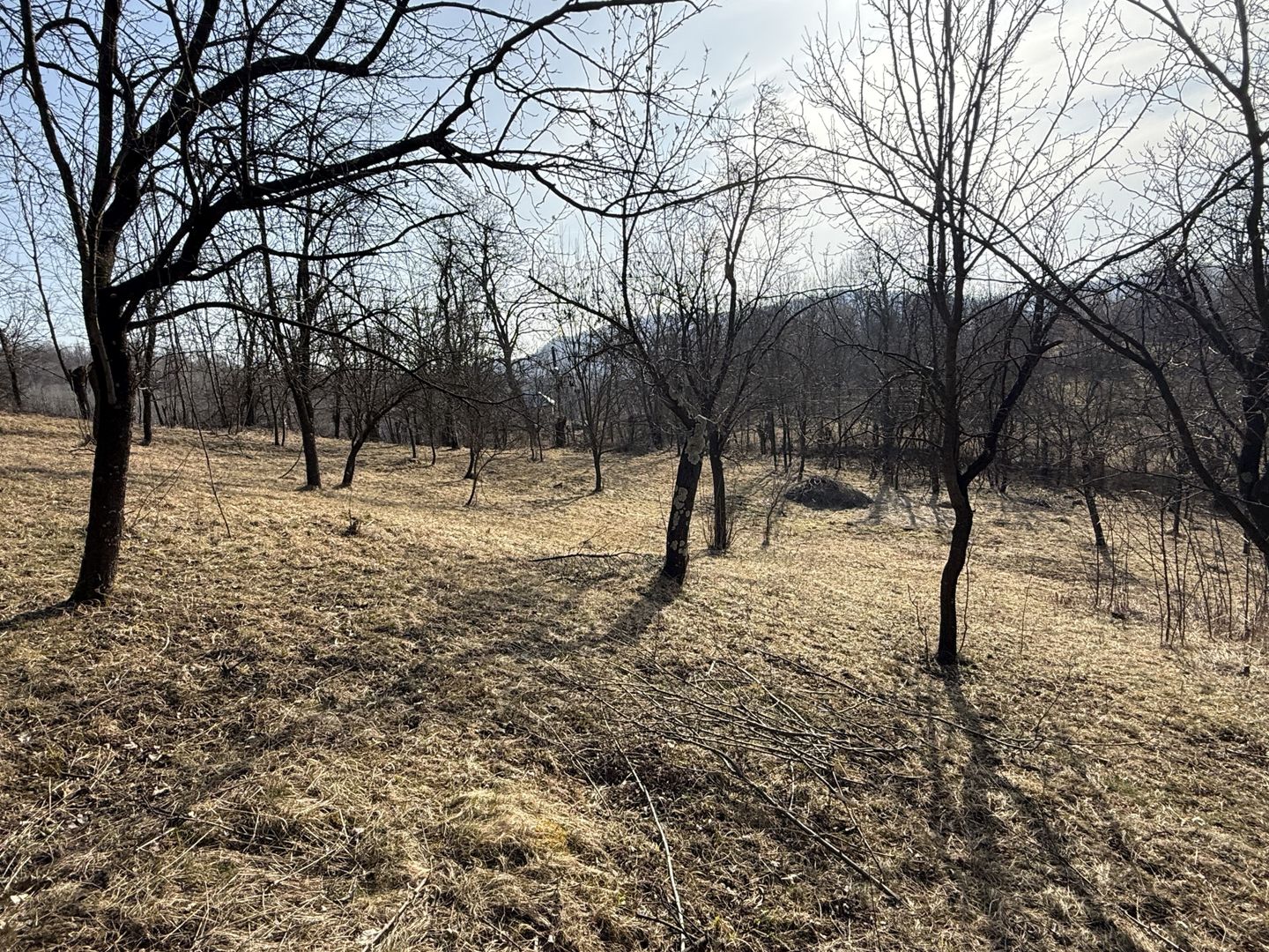 Teren intravilan 2788 mp deschidere 55 ml cu vedere panoramica ! - Poză 5