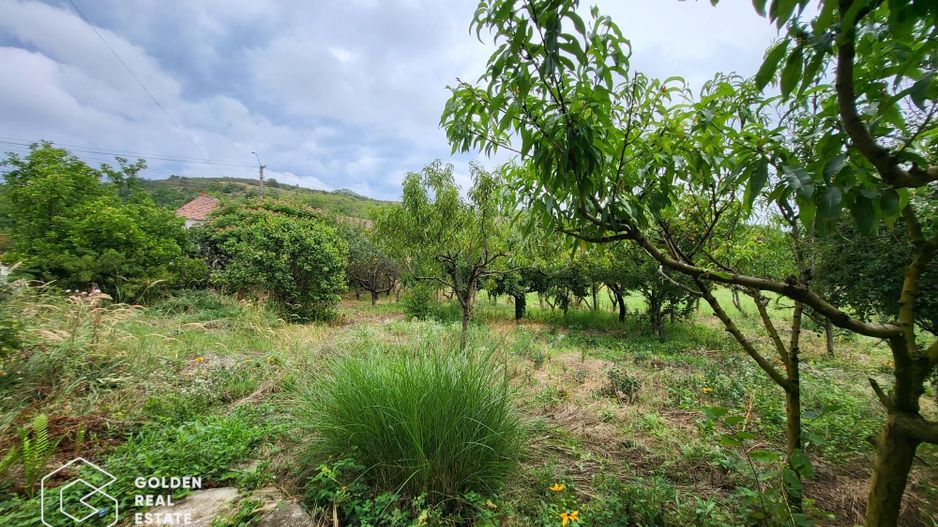 Casa cu D+P+E, 3500 mp teren, zona centrala, Paulis - Poză 19