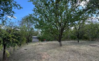 DE VANZARE Teren intravilan Comuna Daia,Jud Giurgiu - Poză 4