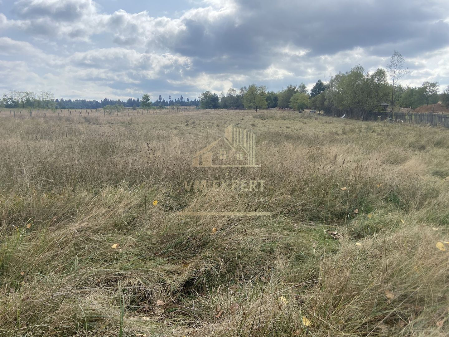 TEREN INTRAVILAN 5000 MP, GRUI, CAMPULUNG - Poză 3