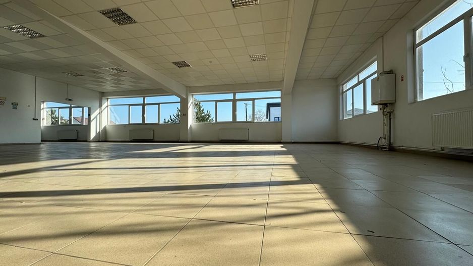 Hala productie P+1 si apartament de serviciu Navodari - c-tie beton - Poză 8