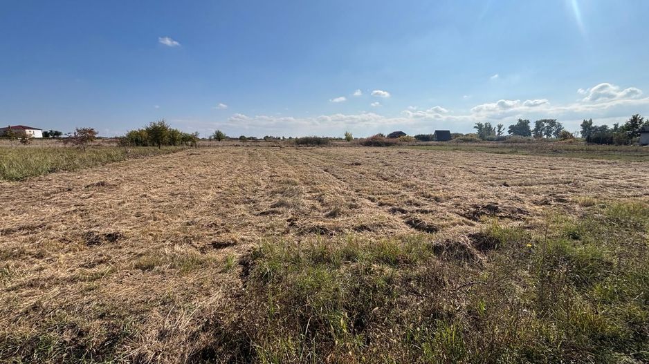 Teren Mosnita NOua 780 mp posibilitate duplex - Poză 2