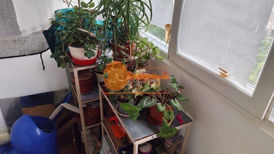 3 camere Rahova - 1983 - Poză 6