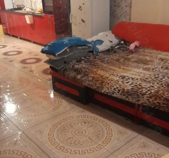 BRASADAS vinde ap 2 cam Dambu Rotund. - Poză 2