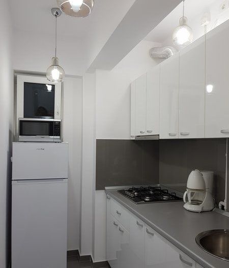 Închiriere 2 Camere Ultracentral, Vedere Dambovita, Renovat - Poză 7