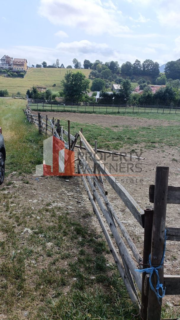 Teren 1.500 mp Sohodol – Bran Vedere Panoramică Bucegi - Poză 2