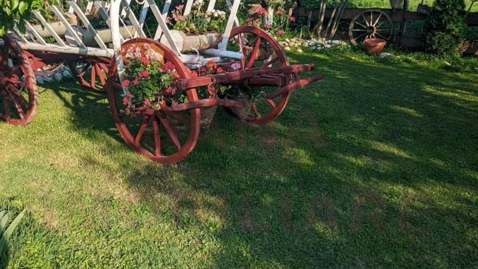 CASĂ\VILĂ DE VÂNZARE \COM. OBREJA\SAT IAZ\CARAȘ-SEVERIN - Poză 13