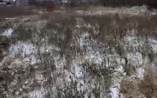 Teren victoria iasi - Poză 7