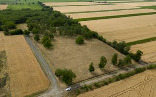 Teren intravilan Şofronea - Poză 2