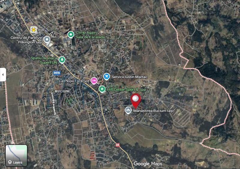Teren intravilan 5000 mp cu front stradal 50 mp, zona Bucium, Iași - Poză 2