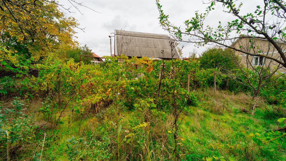 Lot pomicol de 6 ari în Ialoveni, cu construcție auxiliară. - Poză 11