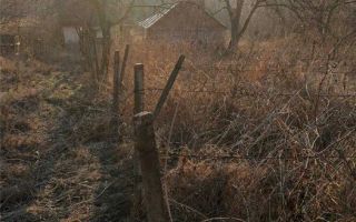 Teren 3900mp - Poză 2