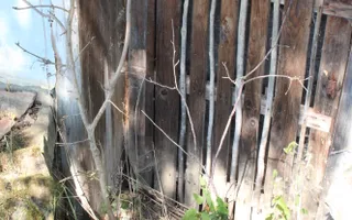Terenuri Carpinis I parcelabil I Curent pe proprietati - Poză 28