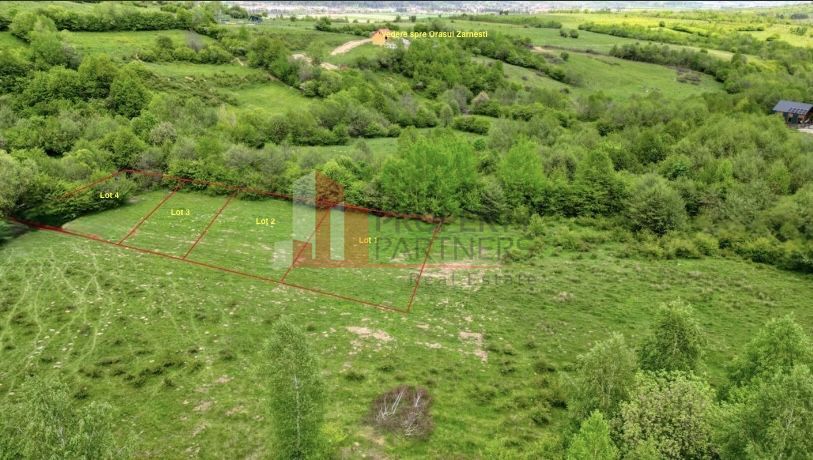 Teren intravilan 500 mp sau 1000 mp în Zarnesti –Tohanita incepand cu 17500 euro - Poză 4