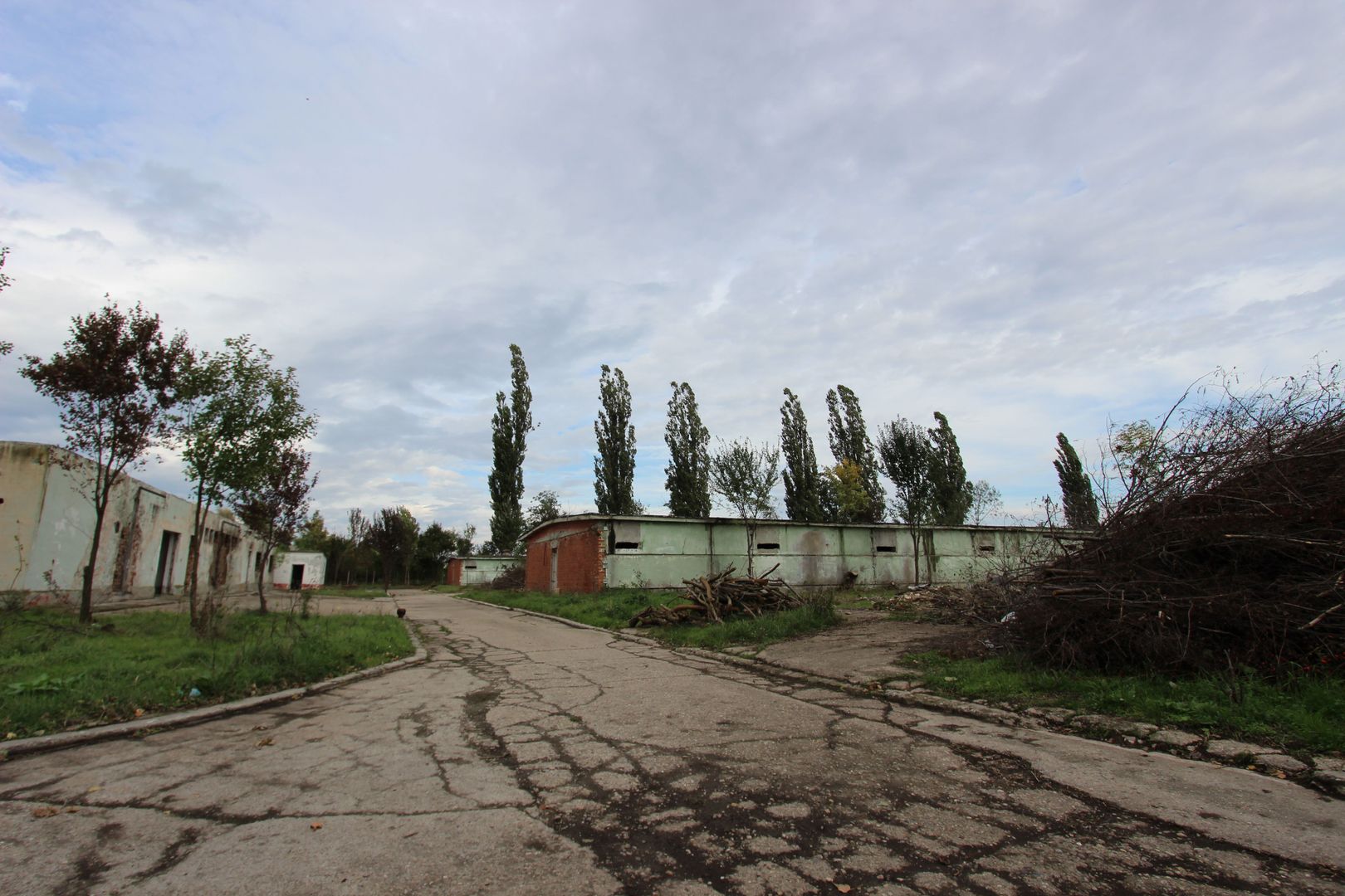 Vanzare hale Mosnita Noua-fosta Ferma 7 - Poză 10